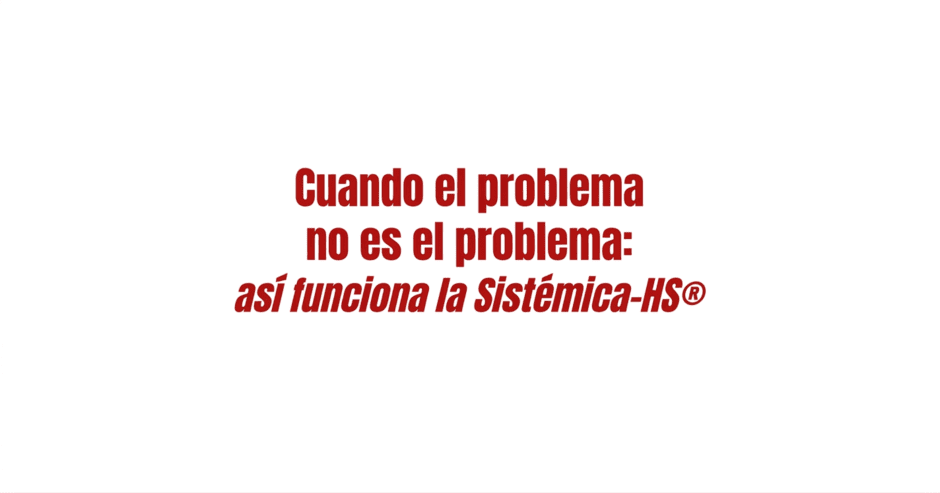 Funcionamiento de la Sistemica-HS, cuando el problema no es el problema